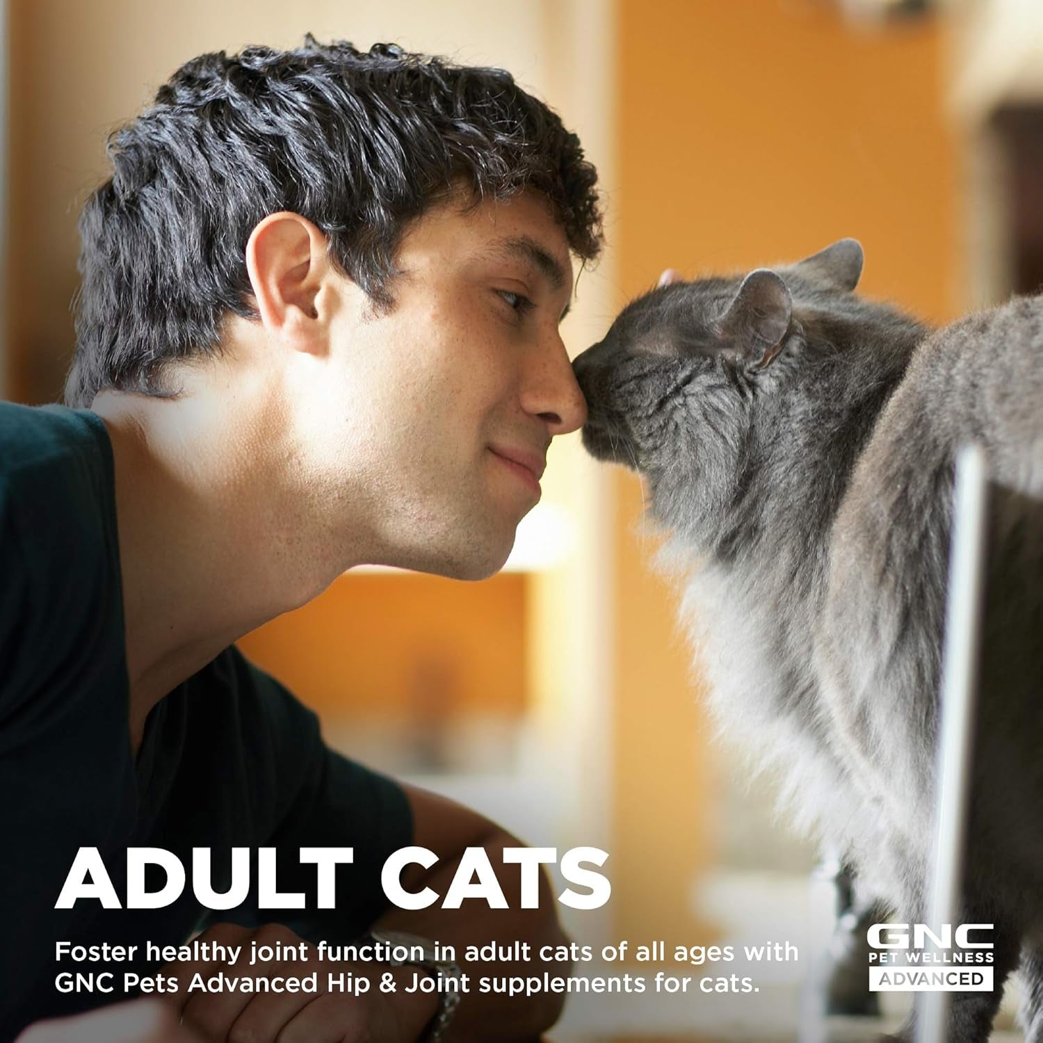 Elevate Your Cat's Mobility with GNC Pets Advanced Hip & Joint Health Soft Chews - Delicious Chicken Flavor, 60 Count