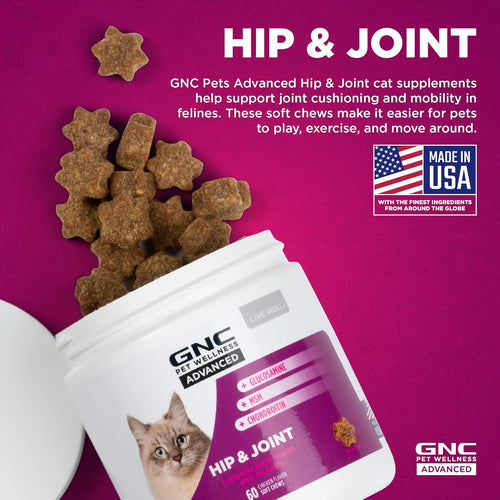 Elevate Your Cat's Mobility with GNC Pets Advanced Hip & Joint Health Soft Chews - Delicious Chicken Flavor, 60 Count
