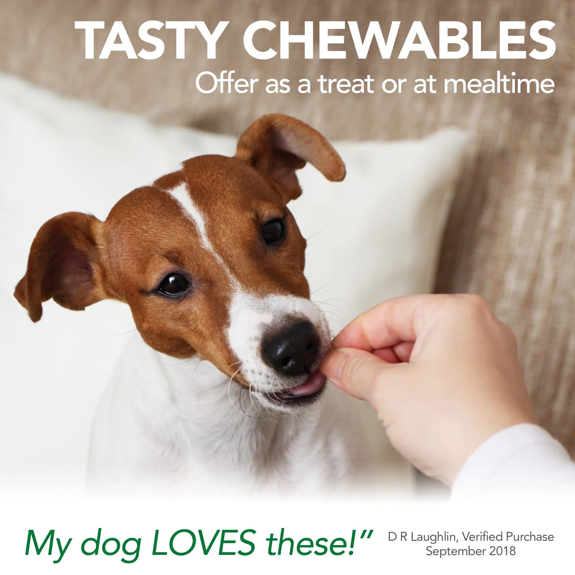 Vet's Best Aches + Pains Chewable Tablets for Happy, Healthy Joints in Dogs - 50 Count